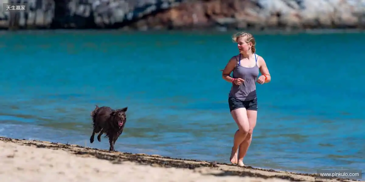 📺多屏同框，互动升级！这里不只是观赛，更是沉浸式的热血派对！